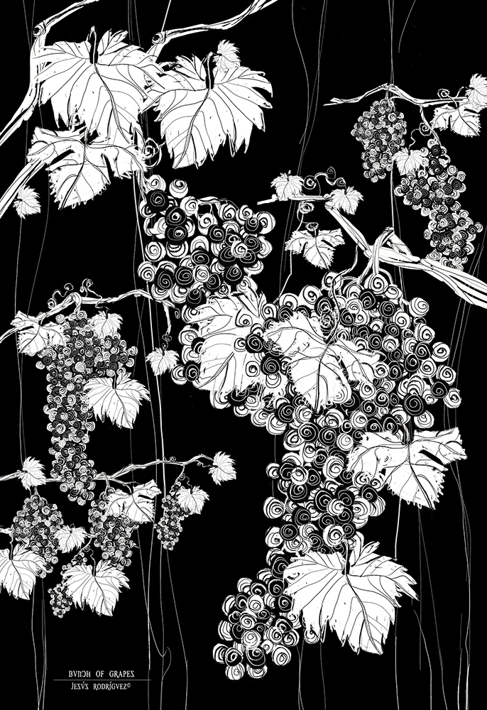ilustración uvas en blanco y negro, ilustración minimalista abstracta